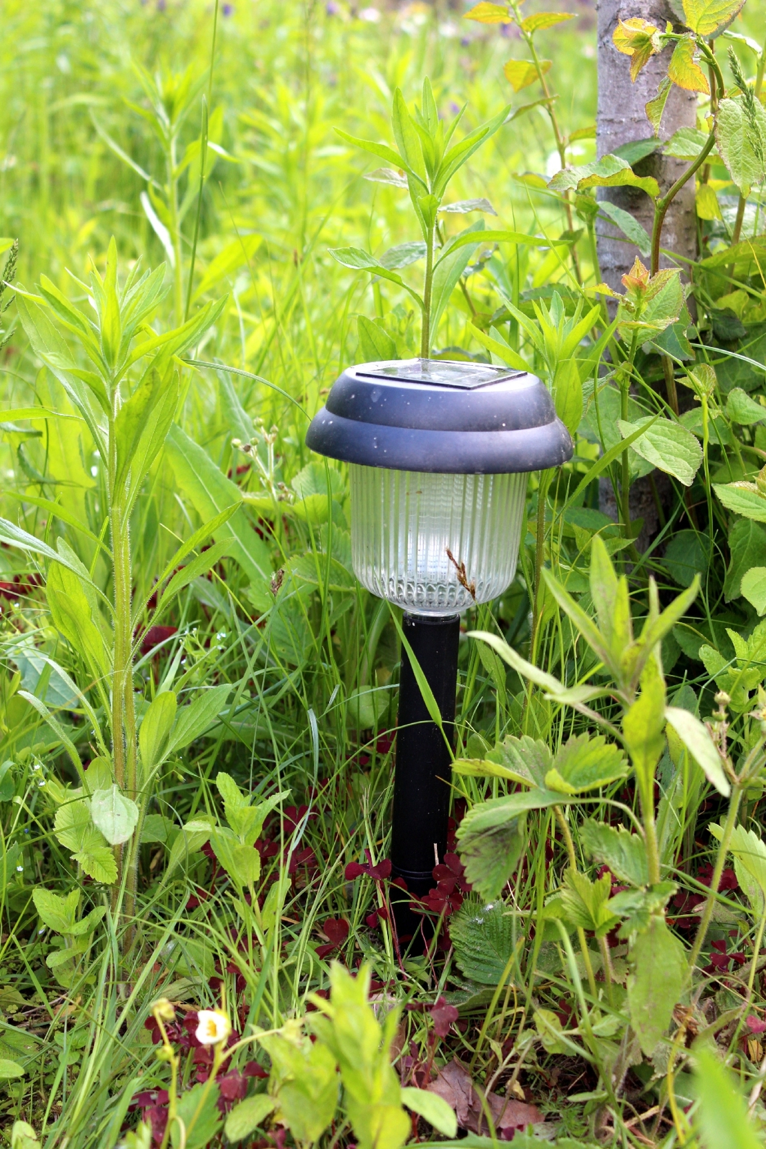 Lampe Med Solceller I Haven